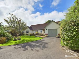 Front- click for photo gallery